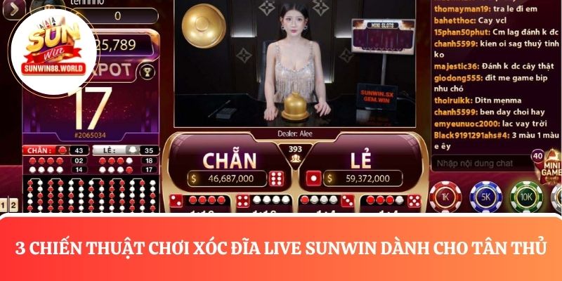 3 Chiến thuật chơi xóc đĩa Live Sunwin dành cho tân thủ