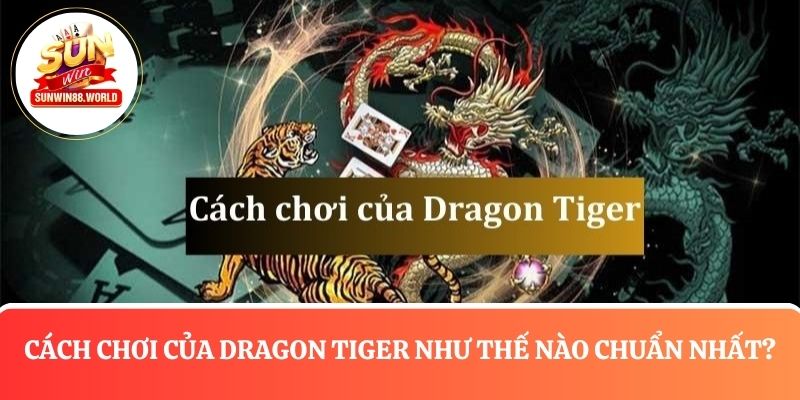 Cách chơi của Dragon Tiger như thế nào chuẩn nhất?