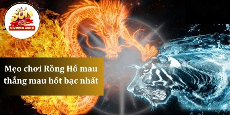 Mẹo chơi Rồng Hổ mau thắng mau hốt bạc nhất