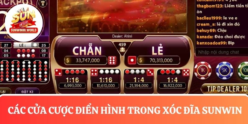 Khám phá các hình thức cược trong xóc đĩa tại Sunwin