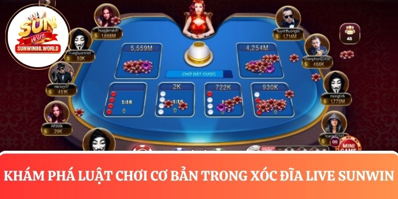 Khám phá luật chơi trong xóc đĩa Live Sunwin