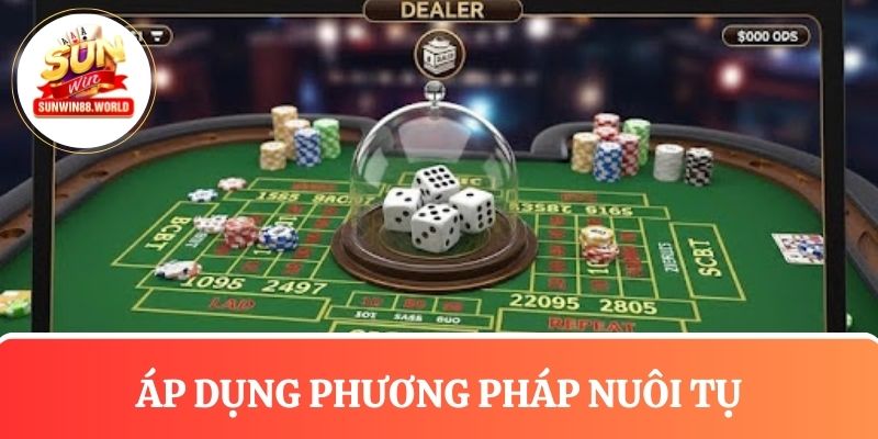 Phương pháp nuôi tụ và lựa chọn soi cầu trong tài xỉu 