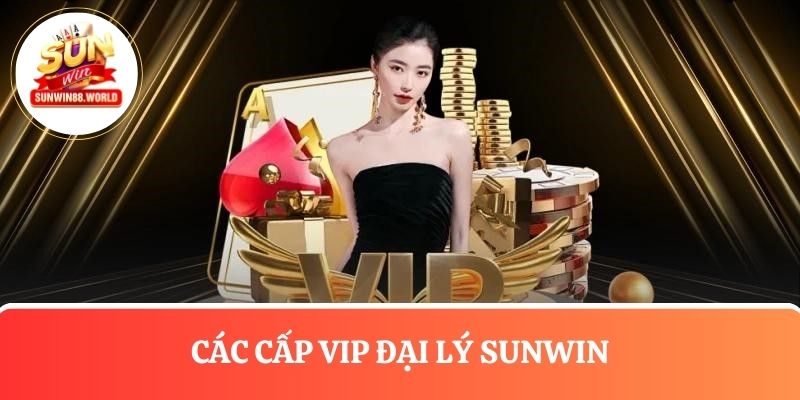 Tìm hiểu các cấp VIP dành cho đối tác